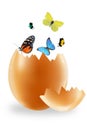 Egg and butterfly