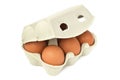 Egg carton box or container with six chicken eggs