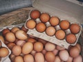 Egg carton Box Fresh eggs Farm product Organic food Market