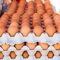 Egg in carton box package Royalty Free Stock Photo