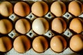 Egg carton close-up Royalty Free Stock Photo