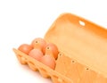 Egg carton for a dozen, more than half gone Royalty Free Stock Photo
