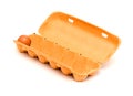 Egg carton for a dozen, one large brown organic chicken egg remaining Royalty Free Stock Photo