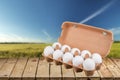 Egg carton Royalty Free Stock Photo