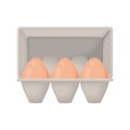 egg carton icon Royalty Free Stock Photo