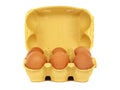 Egg carton with six brown eggs isolated on white background Royalty Free Stock Photo