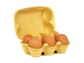 Egg carton with six brown eggs isolated on white background Royalty Free Stock Photo