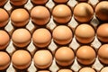 The egg cassette contains eggs with brown shells Royalty Free Stock Photo