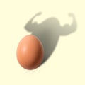 The egg casts a shadow in the form of a bodybuilder. Royalty Free Stock Photo