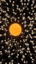 Egg cell floating among sperms in dark space Royalty Free Stock Photo