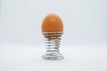Egg-cellent Simplicity: Single Egg on White