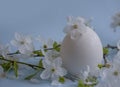 Egg, cherry blossoms a colored background seasonal branch traditional beautiful