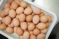 Egg, Chicken Egg in white plastic basket Royalty Free Stock Photo