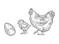 Egg chicken and hen sketch vector illustration Royalty Free Stock Photo