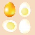 Realistic chicken egg in various shapes