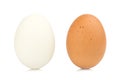egg chiken and egg duck isolated on white background Royalty Free Stock Photo