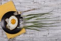 Egg , chives and black plate look like sperm competition, Spermatozoons floating to ovule in white wooden background Royalty Free Stock Photo
