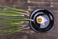 Egg , chives, green onion and black plate look like sperm competition, Spermatozoons floating to ovule. Dark wooden background,
