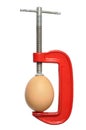 Egg in Clamp