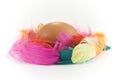 Egg and colored feathers