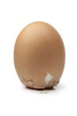 Egg of Columbus Royalty Free Stock Photo