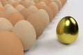 Egg commander Royalty Free Stock Photo
