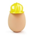 Egg construction helmet