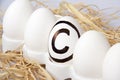 Egg With Copyright Sign Royalty Free Stock Photo