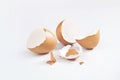 Egg with crack shell Royalty Free Stock Photo