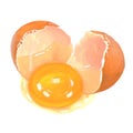 Egg crack yolk illustration