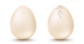 Egg and cracked egg Royalty Free Stock Photo