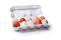 Egg crate with nine white eggs and one brown isolated on a white background Royalty Free Stock Photo