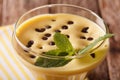 Egg cream Zabaione with chocolate drops and mint macro. horizont Royalty Free Stock Photo