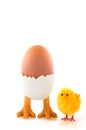 Egg-cup with easter chicken Royalty Free Stock Photo
