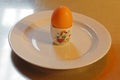 An egg in an egg cup on a plate, the ideal breakfast.