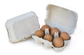 Egg cup with six eggs on white background Royalty Free Stock Photo