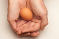 Egg cupped in hands