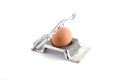 Egg cutter Royalty Free Stock Photo