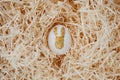 Egg decorated with gold glitter bunny on straw background. Easter concept. Happy easter card with copy space for text Royalty Free Stock Photo