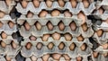 egg display for sale photos