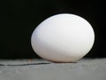 An Egg Displayed in Black background casting a shadow on the ground Royalty Free Stock Photo