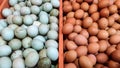 The egg duck and the chicken egg at the market Royalty Free Stock Photo