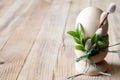 Egg in egg cup decorated catkins and boxwood on wooden background, easter concept Royalty Free Stock Photo