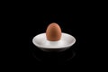 Egg in Eggcup, Boiled Brown Egg in White Eggcup isolated on black background, Centered Royalty Free Stock Photo