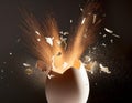 Egg exploding. Royalty Free Stock Photo