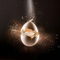 Egg exploding. Royalty Free Stock Photo