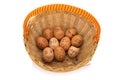 egg face in basket. orphaned. dumped