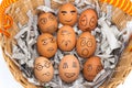 egg face in basket. newspapers. orphaned. dumped