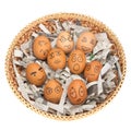 egg face in basket. newspapers. orphaned. dumped