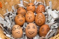 egg face in basket. newspapers. orphaned. dumped